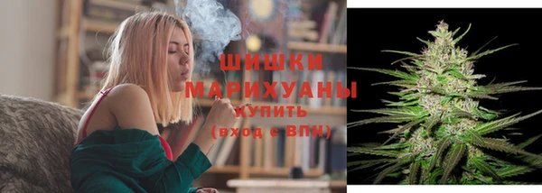 прущие грибы Ахтубинск