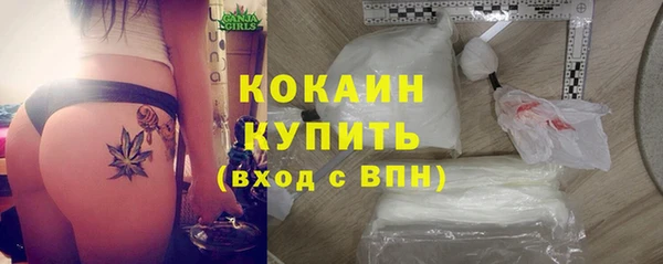 альфа пвп Новодвинск