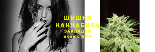 прущий лед Новозыбков