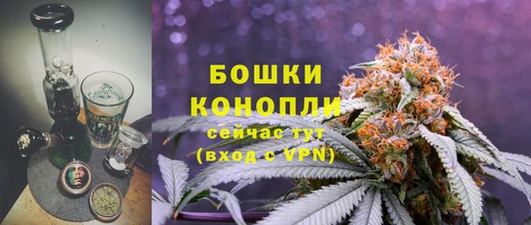 альфа пвп Новодвинск