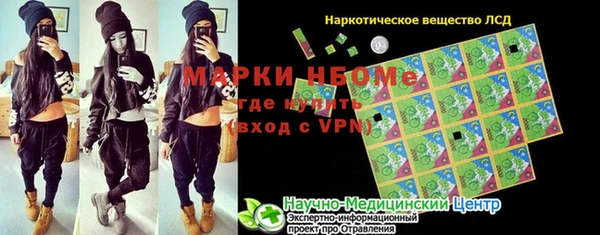 прущий лед Новозыбков