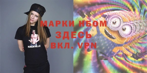 альфа пвп Новодвинск