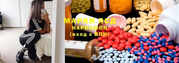 прущий лед Новозыбков