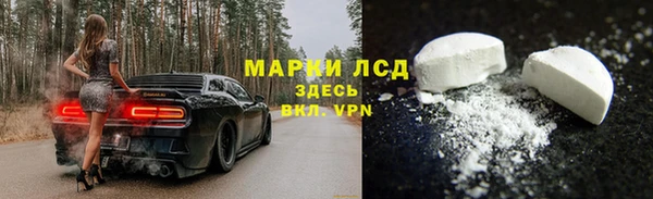 альфа пвп Новодвинск